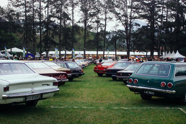 Empowering Custom Fashion for Disabled Women in the UK: Your Comprehensive Guide to Tailored Solutions